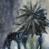 Jo Dunnick